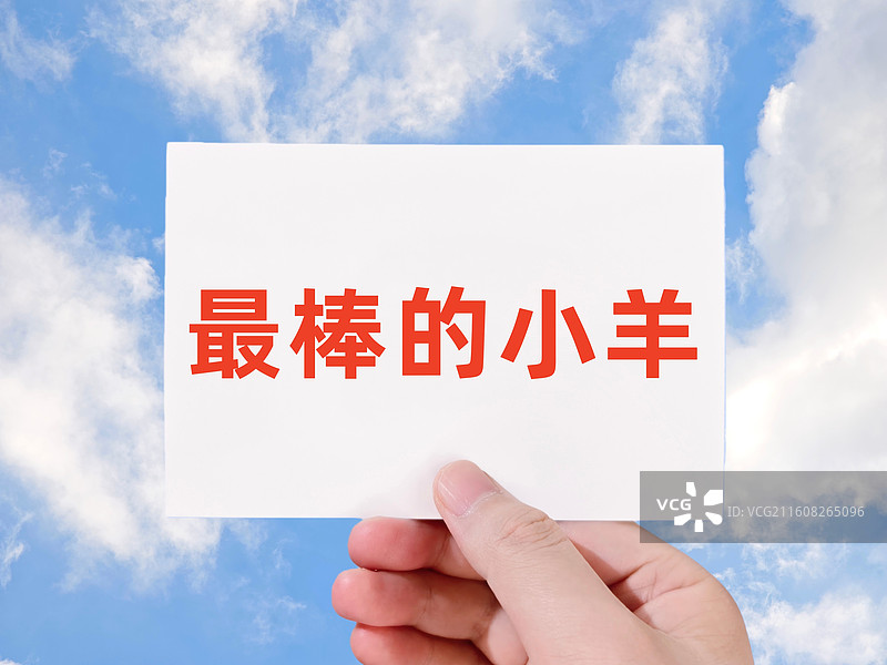 最棒的小羊（网络热词，网络流行语）图片素材