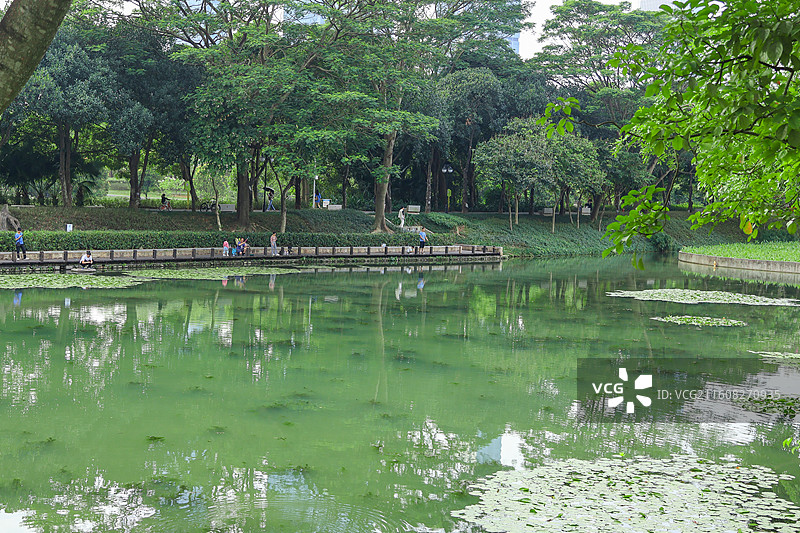 深圳中心公园湖泊图片素材