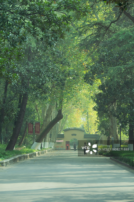 雨花台的夏秋之交图片素材