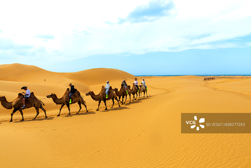 沙漠骑骆驼图片素材