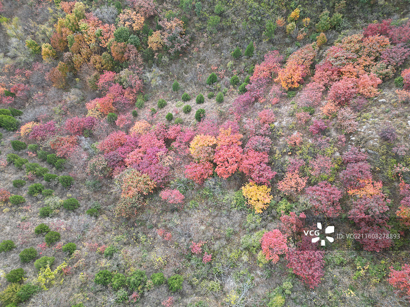 秋天的五彩浅山图片素材