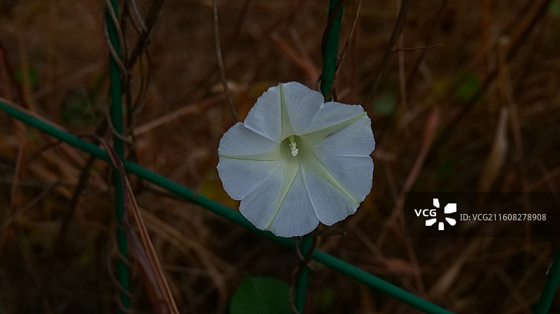 秋天的五彩浅山图片素材