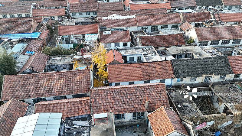 山东烟台招远市晨曦中的初冬样子图片素材