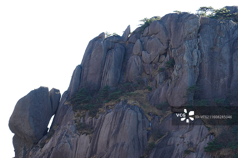 安徽省黄山市黄山风景区：玉屏景区龟鱼争松图片素材