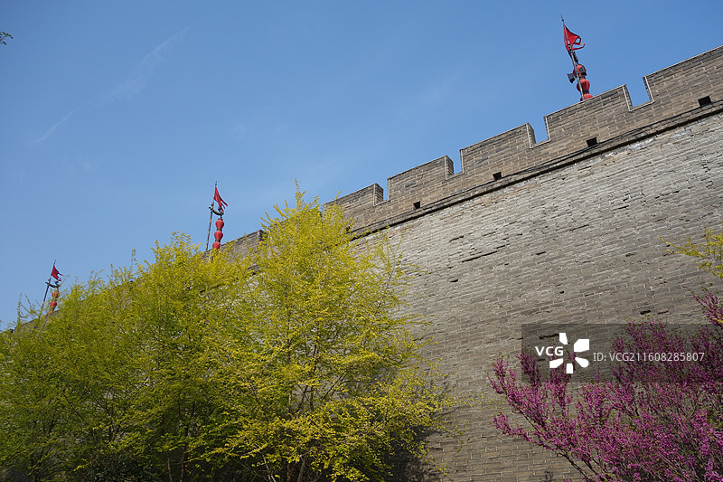 陕西西安明城墙西安城墙：西门外安定门外环城公园紫荆花盛开图片素材