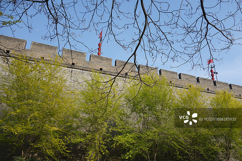 陕西西安明城墙西安城墙：西门外安定门外环城公园嫩绿新叶图片素材