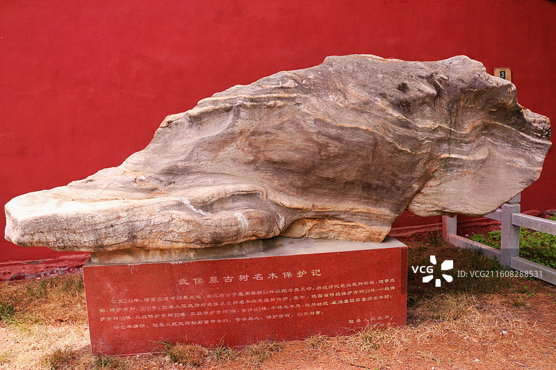 汉中勉县武侯墓古树名木保护记，以科学复壮、制度保障和公众参与为核心，形成了系统性保护机制图片素材