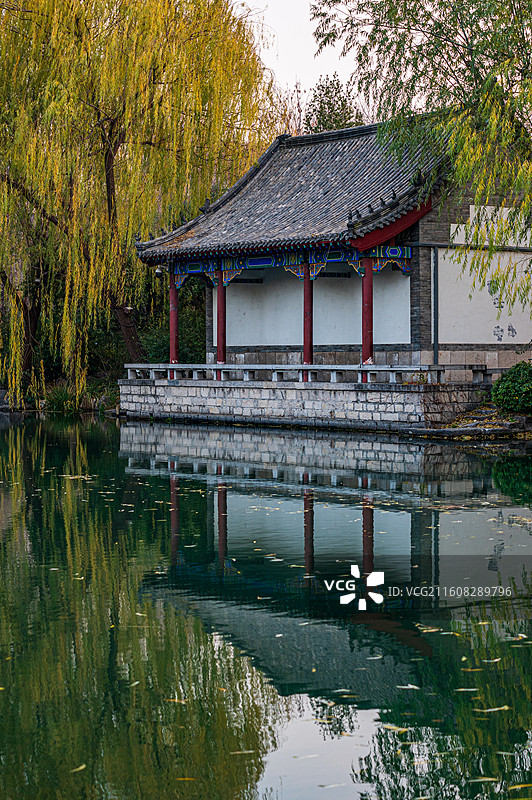 冬日午后-明湖南岸图片素材