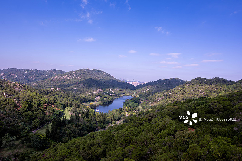 冬日的早晨图片素材