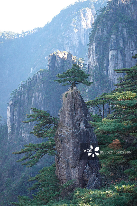 安徽省黄山市黄山风景区：北海景区散花坞梦笔生花扰龙松图片素材