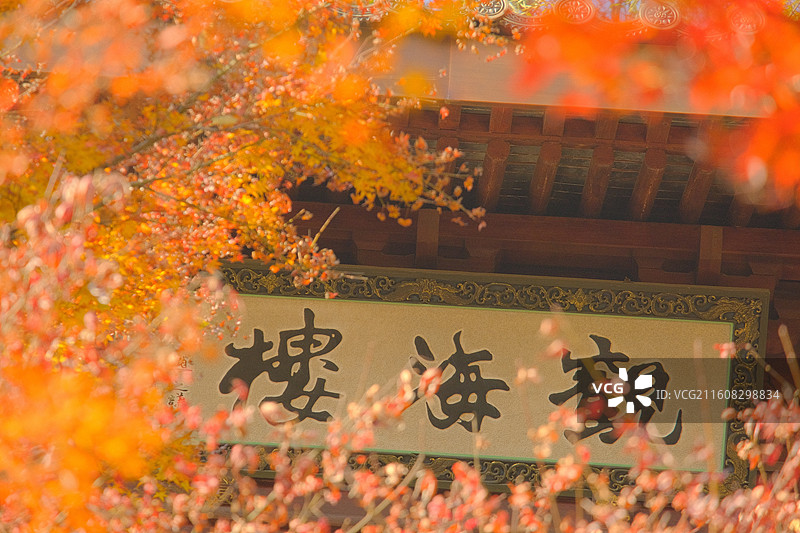 灵隐飞来峰永福寺秋景图片素材