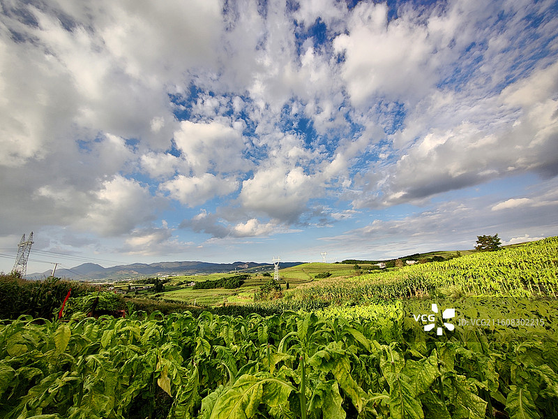 多彩贵州–醉美威宁县迤那镇绿色田园风光图片素材