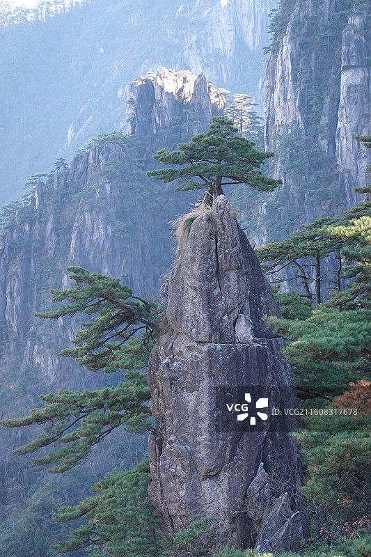 安徽省黄山市黄山风景区：北海景区散花坞梦笔生花扰龙松图片素材