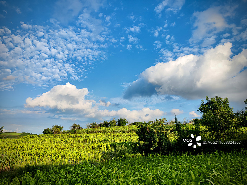 多彩贵州–醉美威宁县迤那镇绿色田园风光图片素材