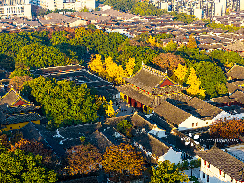 秋天，清晨，苏州园林西园寺航拍，戒幢律寺，大雄宝殿，湖心亭，金色银杏叶图片素材