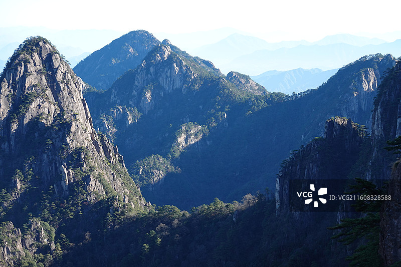安徽省黄山市黄山风景区：北海景区散花坞梦笔生花扰龙松图片素材