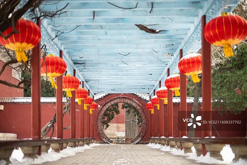中国山东泰安著名景点泰山旅游风景区，岱庙行宫的中式庭院和紫藤树长廊，户外白昼无人图像摄影图片素材