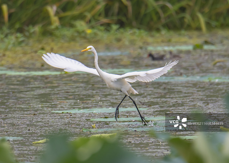 欢快的瞬间图片素材