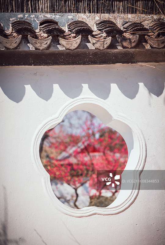 南京春天红楼艺文苑梅花盛开图片素材