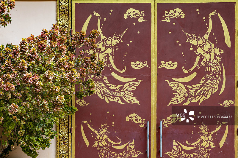 西双版纳曼听公园图片素材