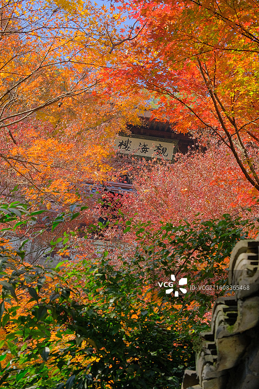 灵隐飞来峰永福寺秋景图片素材