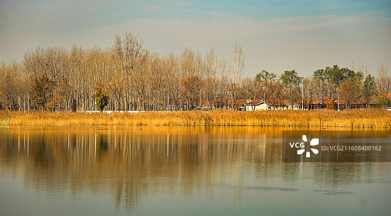 淄博文昌湖冬景图片素材