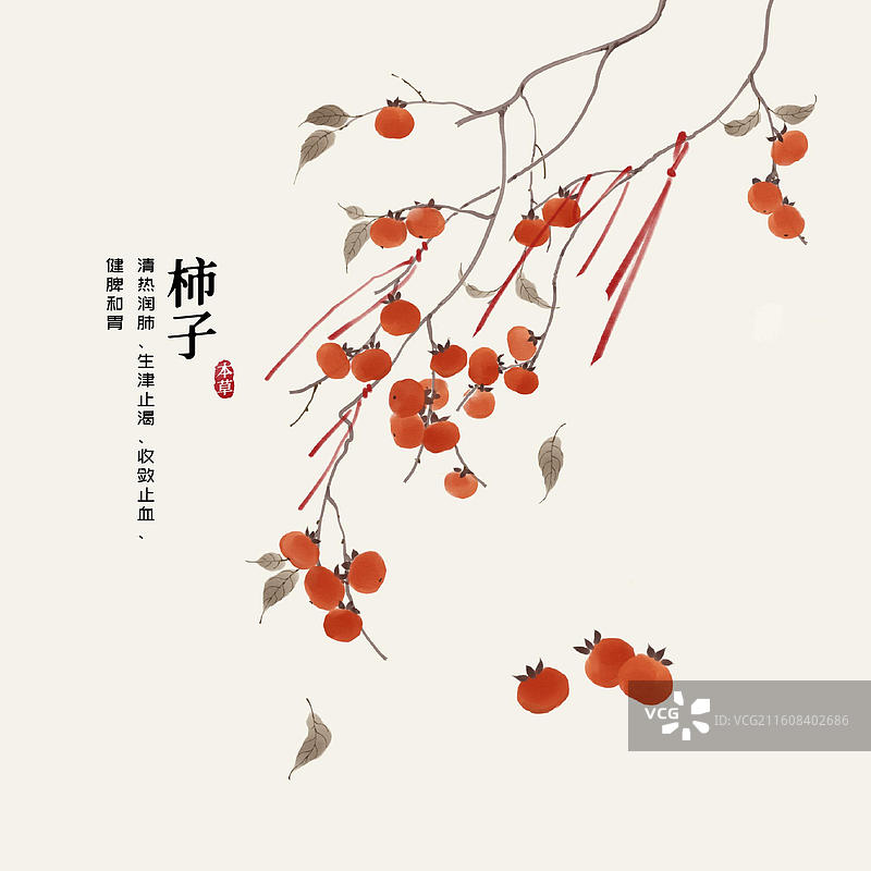 水彩水果插画柿子图片素材