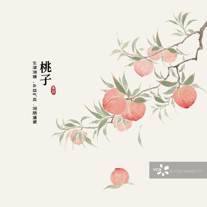 水彩水果插画桃子图片素材