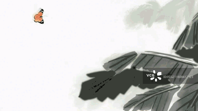 水墨画 高雅 禅意 插图 蝴蝶 庄子图片素材