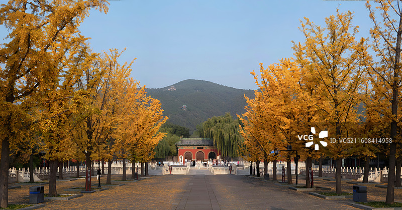 太原晋祠之秋，银杏披金，与红墙古建相映成趣，五彩斑斓的树叶倒映在碧水之中，美如画卷图片素材