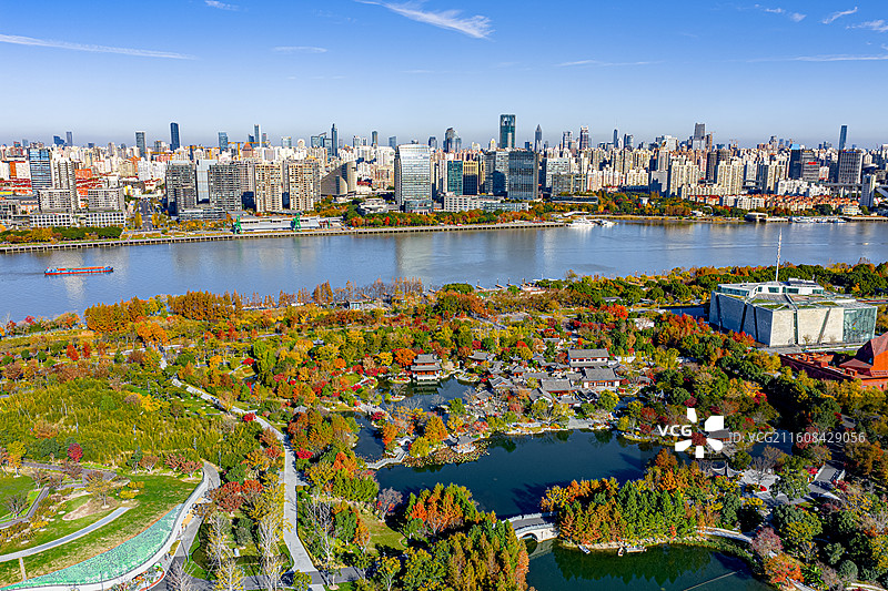 上海世博文化公园申园 浦东后滩 黄浦江畔湿地森林秋色绚烂水杉树红了 上海西岸徐汇滨江图片素材