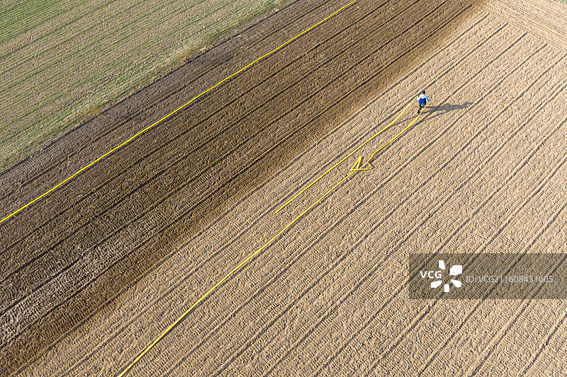 河南省、周口市、商水县、马门乡、校服男学生、农田、铺设灌溉水带、冬小麦、灌溉作业图片素材