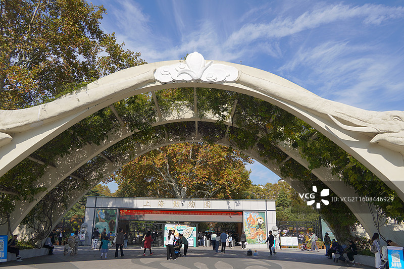 上海动物园动物们图片素材