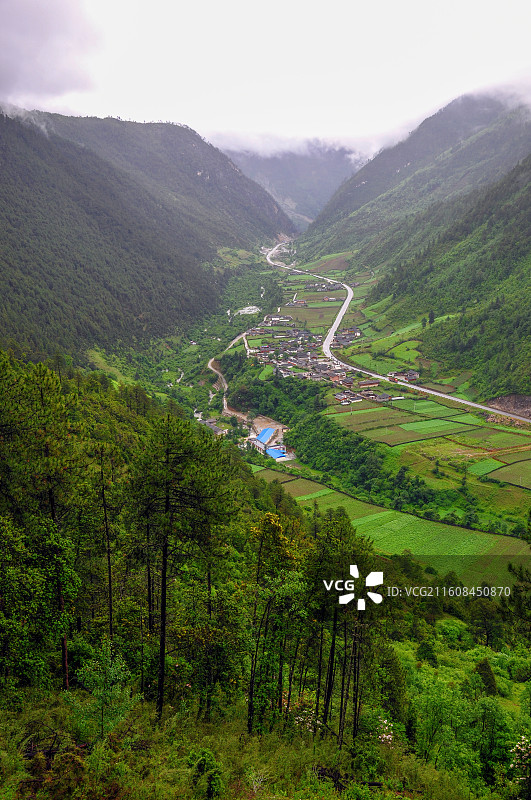 山间云雾缭绕的翠绿山谷图片素材