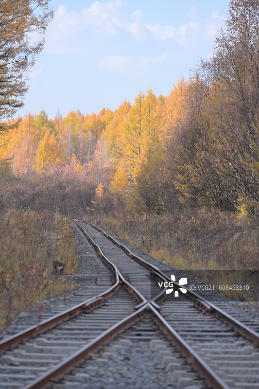 莫尔道嘎森林公园小火车图片素材