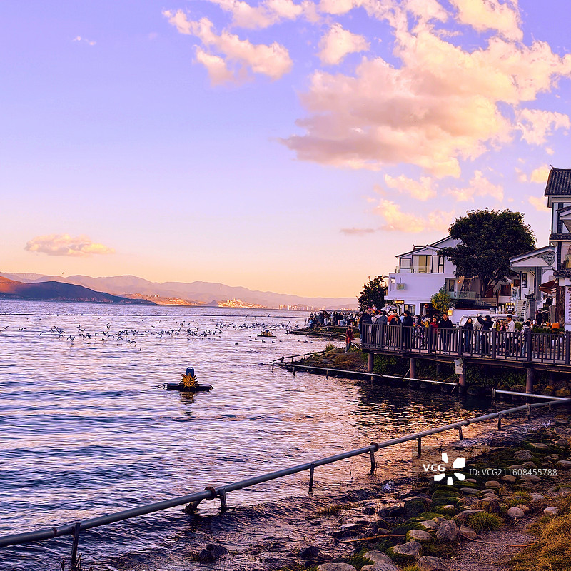 大理S湾，旅游热点地：云南大理磻溪村S湾，水杉红霞，海鸥步道，苍山洱海，景色秀丽，是游客旅行热衷地。图片素材