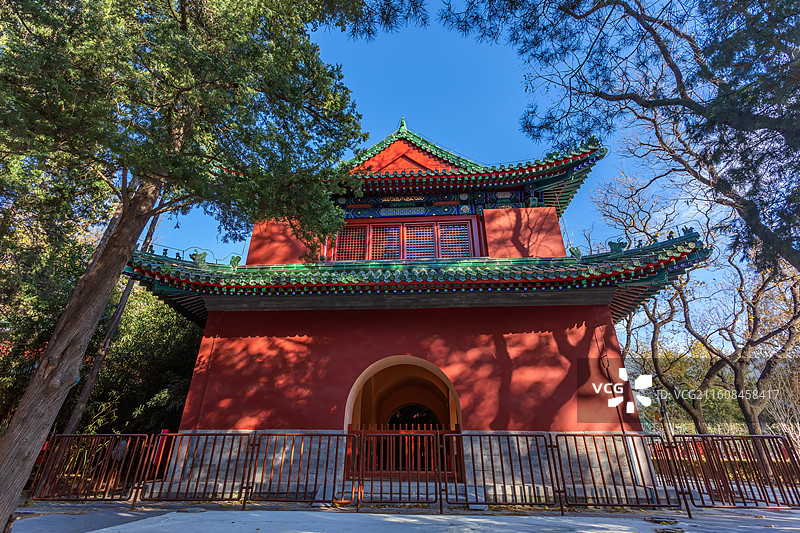 秋天北京日坛公园里美丽的秋色图片素材