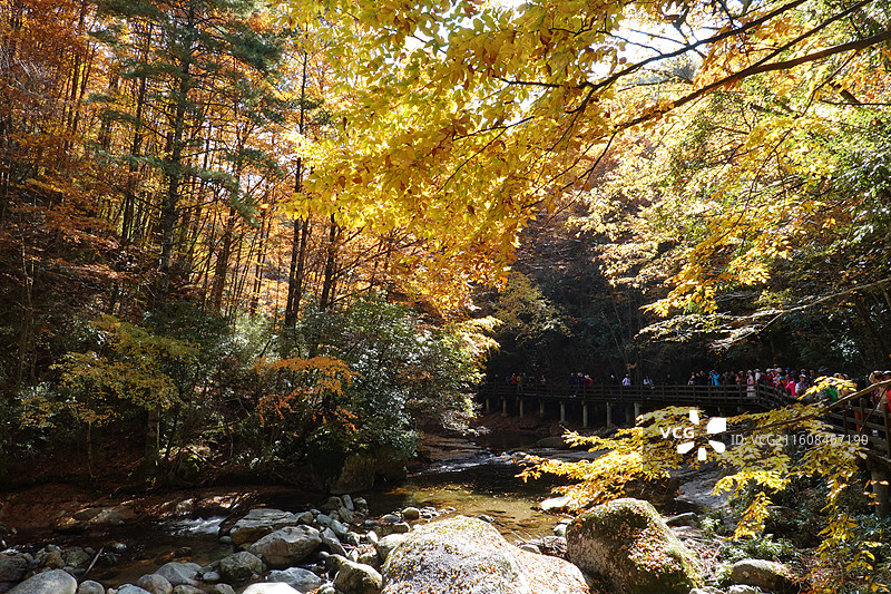 四川省巴中市南江县光雾山诺水河世界地质公园：十八月潭景区秋色：吉运潭至云梯潭图片素材