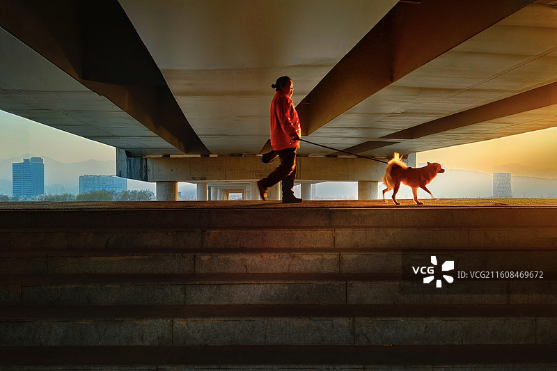 桥影随行图片素材