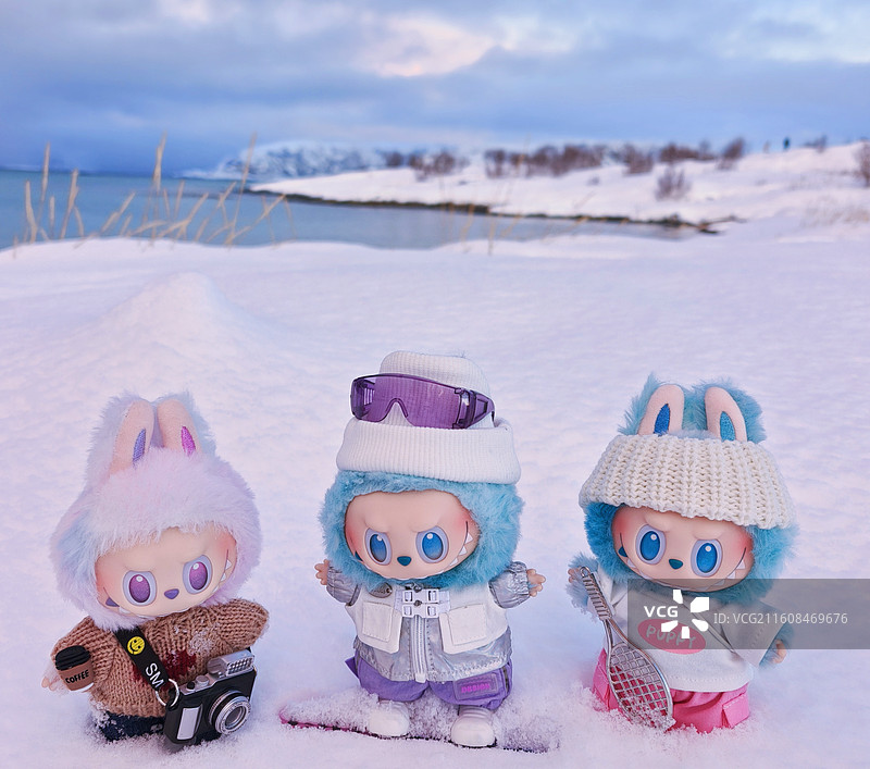 拉布布在北极圈特罗姆瑟的雪地上图片素材