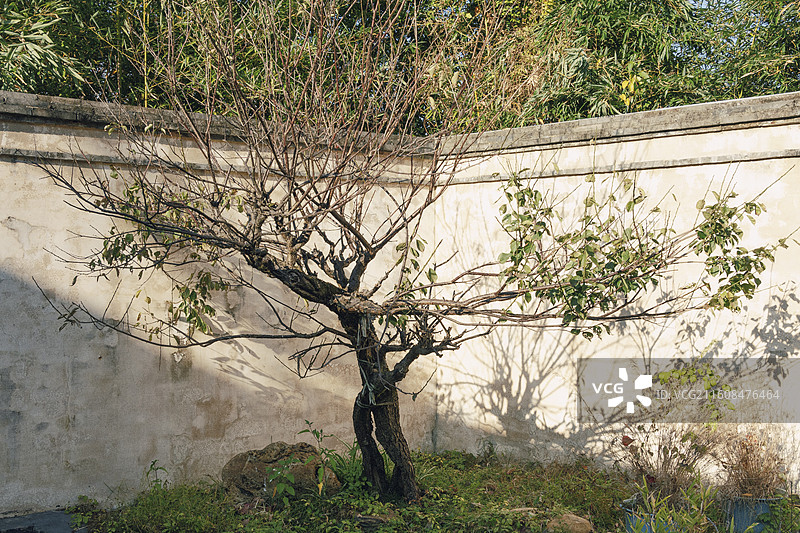 温州龙湾瑶溪钟秀园图片素材