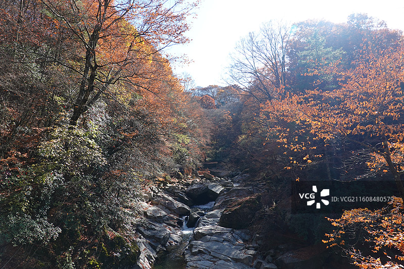 四川省巴中市南江县光雾山诺水河世界地质公园：米仓山景区：黑熊沟秋景秋色图片素材