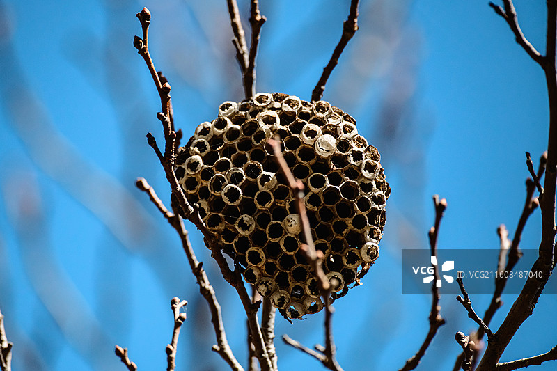 马蜂窝图片素材