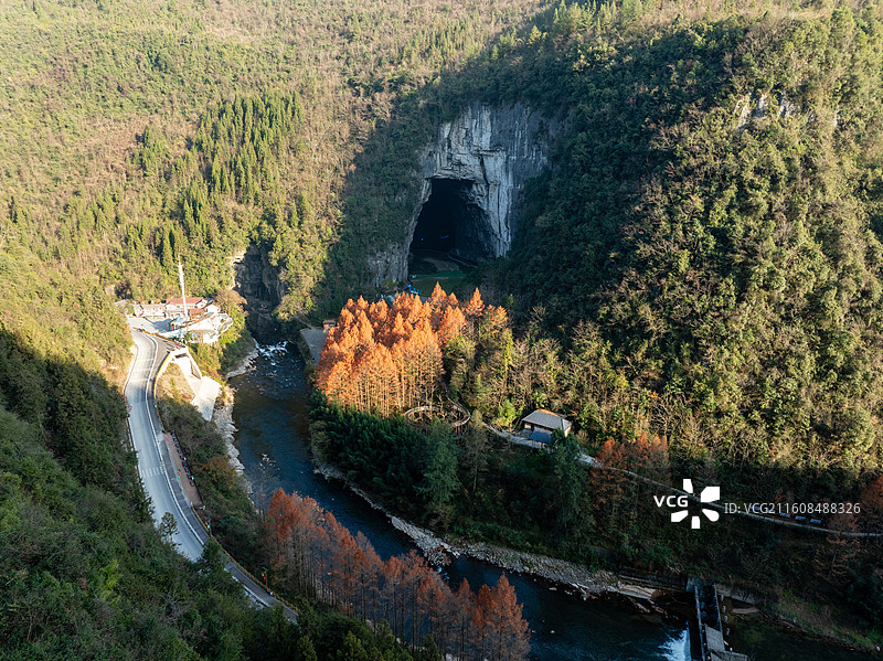 秋季森林树木的高角度视野图片素材