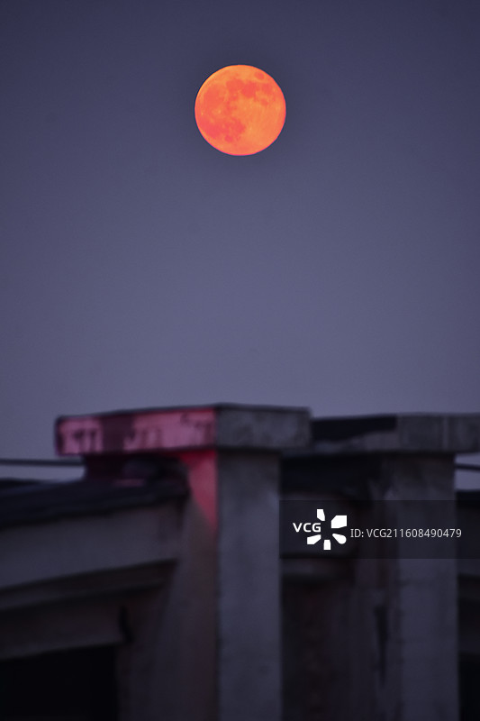 2025年最后的超级月亮与金色月亮图片素材