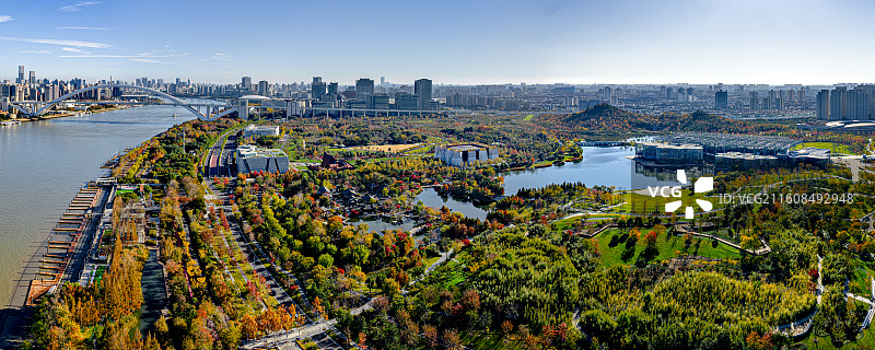 上海世博文化公园狗Go乐园 卢浦大桥黄浦江畔湿地森林秋色绚烂 水杉树红 浦东后滩公园 丹枫湖音乐之林图片素材