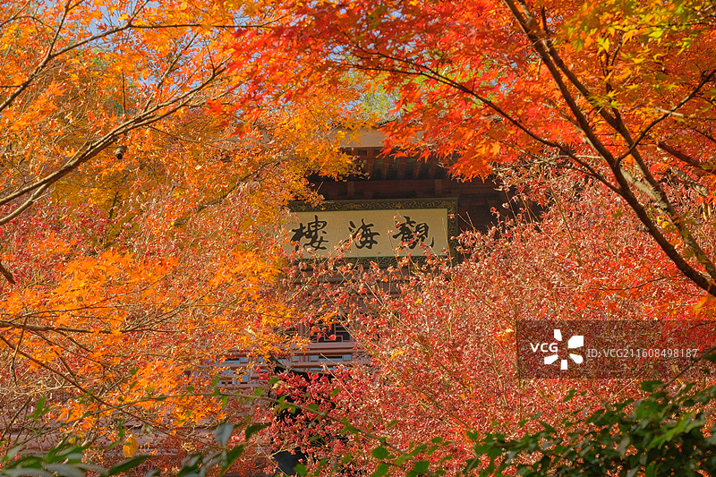 灵隐飞来峰永福寺秋景图片素材