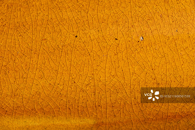 南京明孝陵的琉璃瓦图片素材