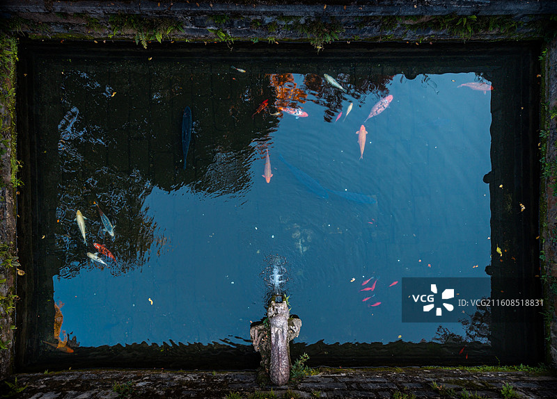 无锡锡惠公园寄畅园天下第二泉图片素材