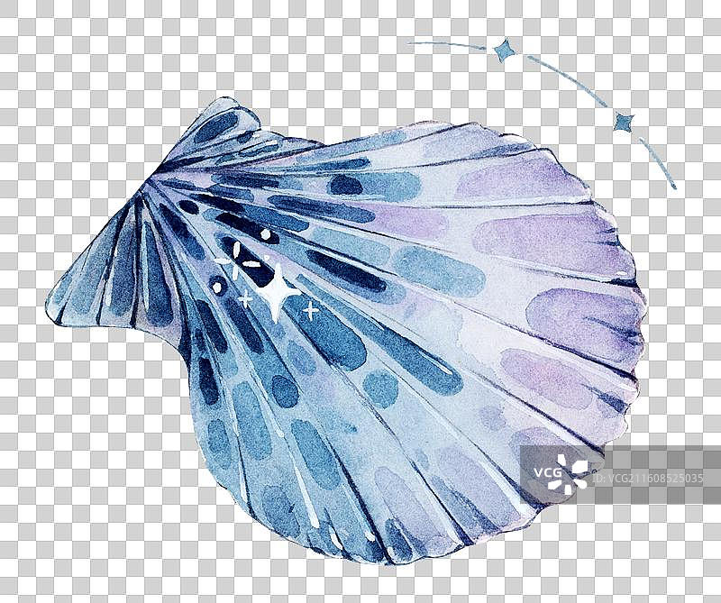 蓝紫色创意水彩手绘贝壳插画图片素材